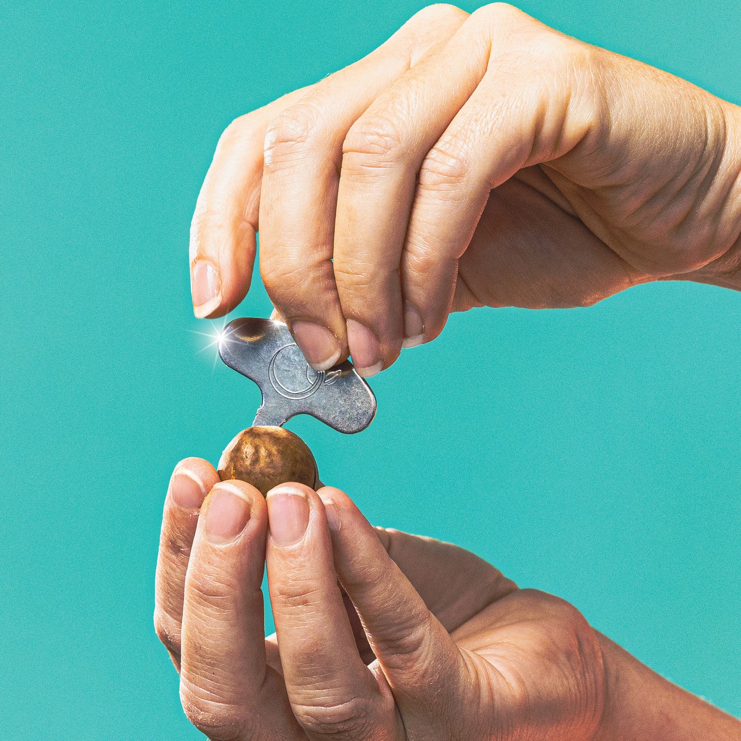 Crack open a Golden Crunch macadamia