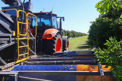 Inside a Macadamia Harvest: How the Pin-Wheel Harvester Works