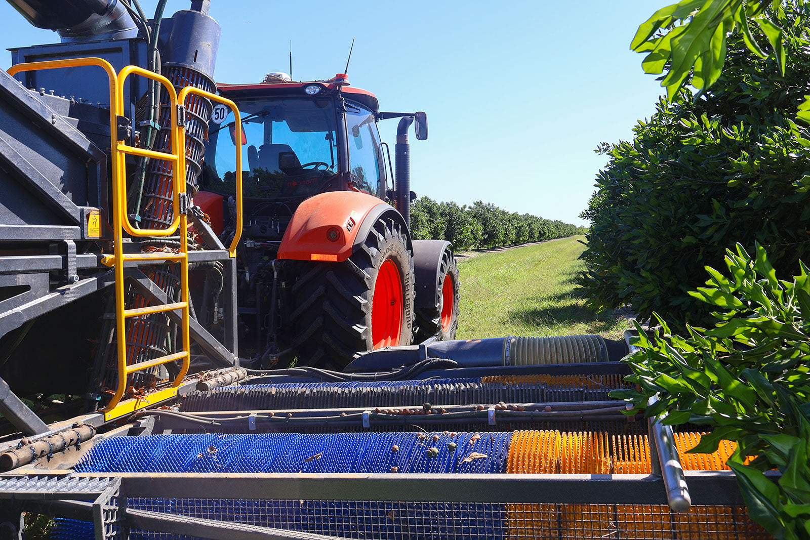 Inside a Macadamia Harvest: How the Pin-Wheel Harvester Works
