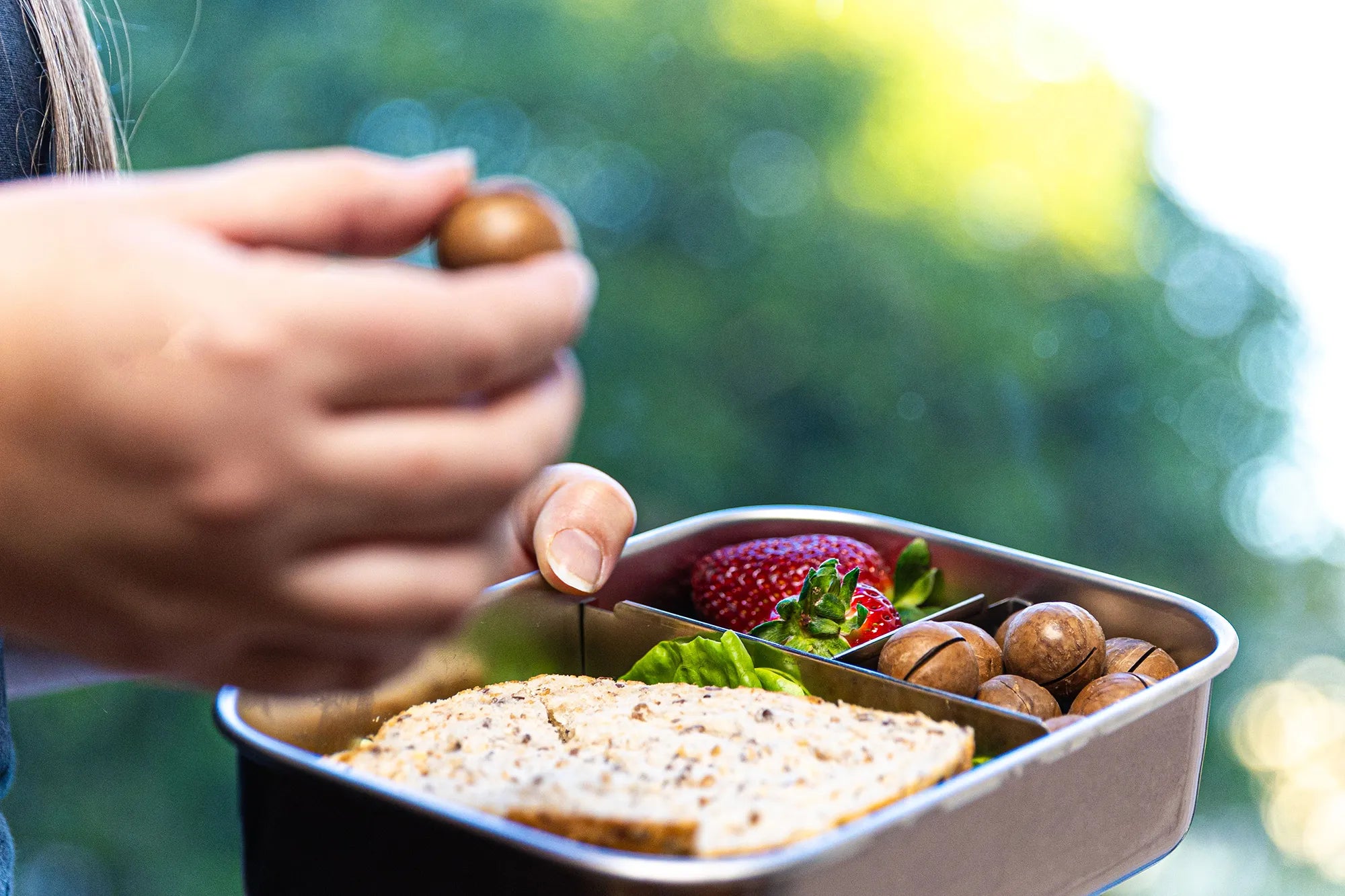 Person holding a small container with a sandwich, fruit, and macadamia nuts.