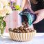 Dry Roasted Golden Crunch Macadamias