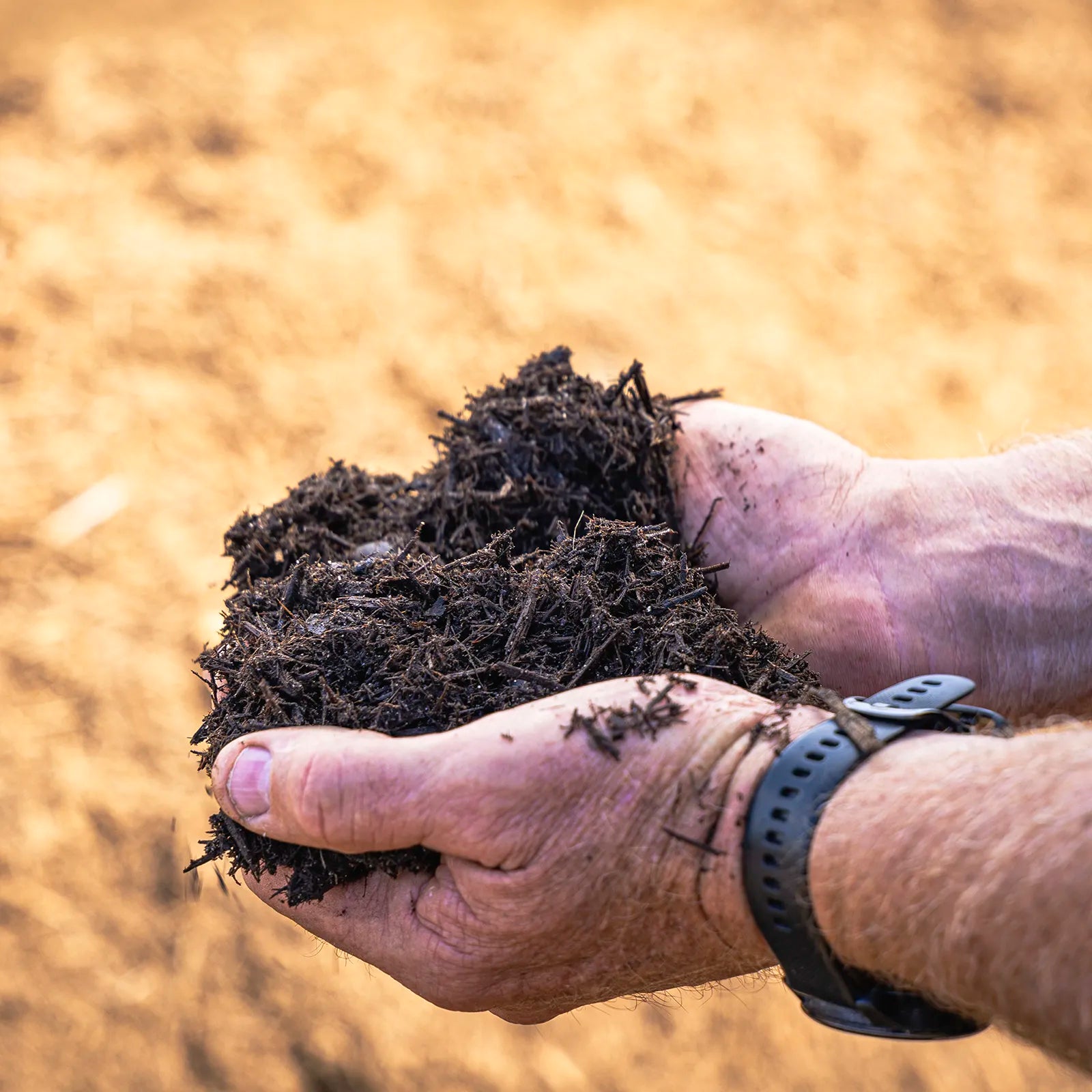 Hands holding compost